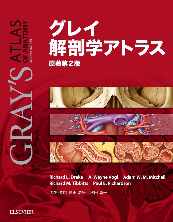 ネッター解剖学アトラス原書第6版 | エルゼビア・ジャパン株式会社